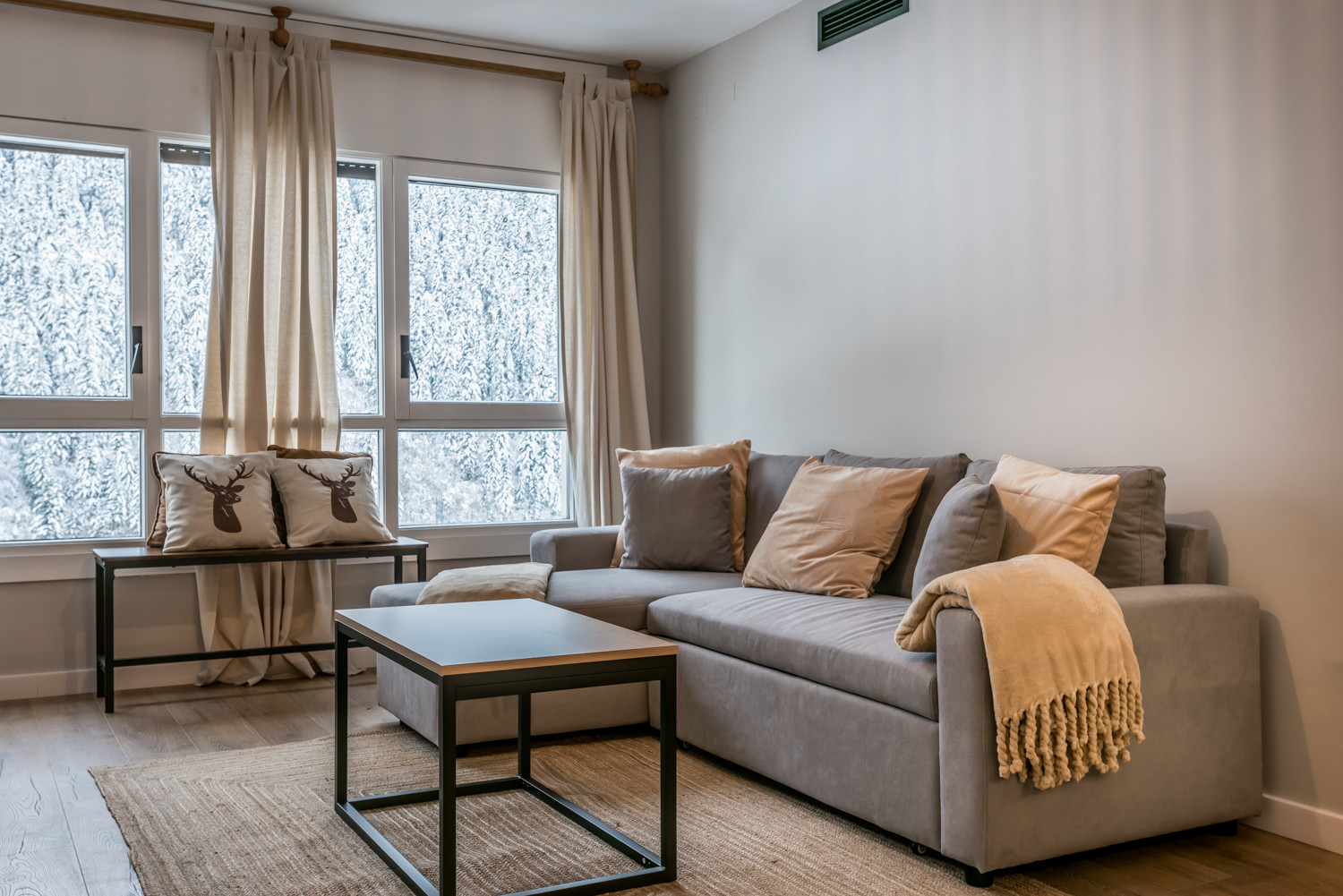Apartamento en Baqueira - Teso dera Mina by Totiaran