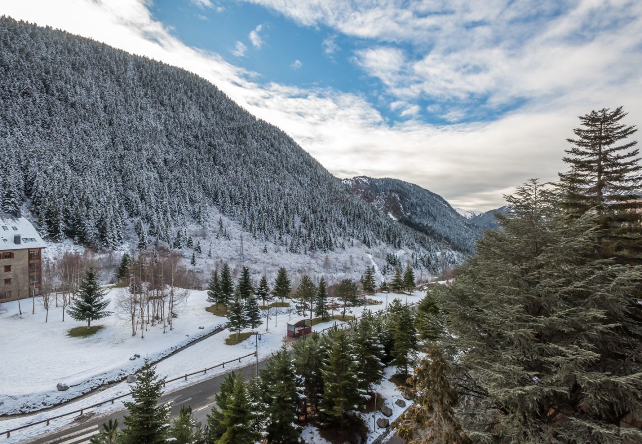Apartamento en Baqueira - Carlac by Totiaran