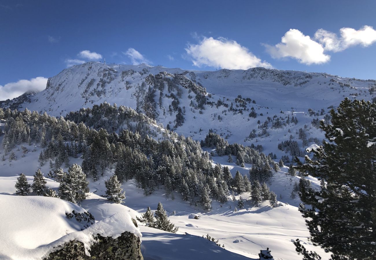 Apartamento en Baqueira - Tubo Nere by Totiaran