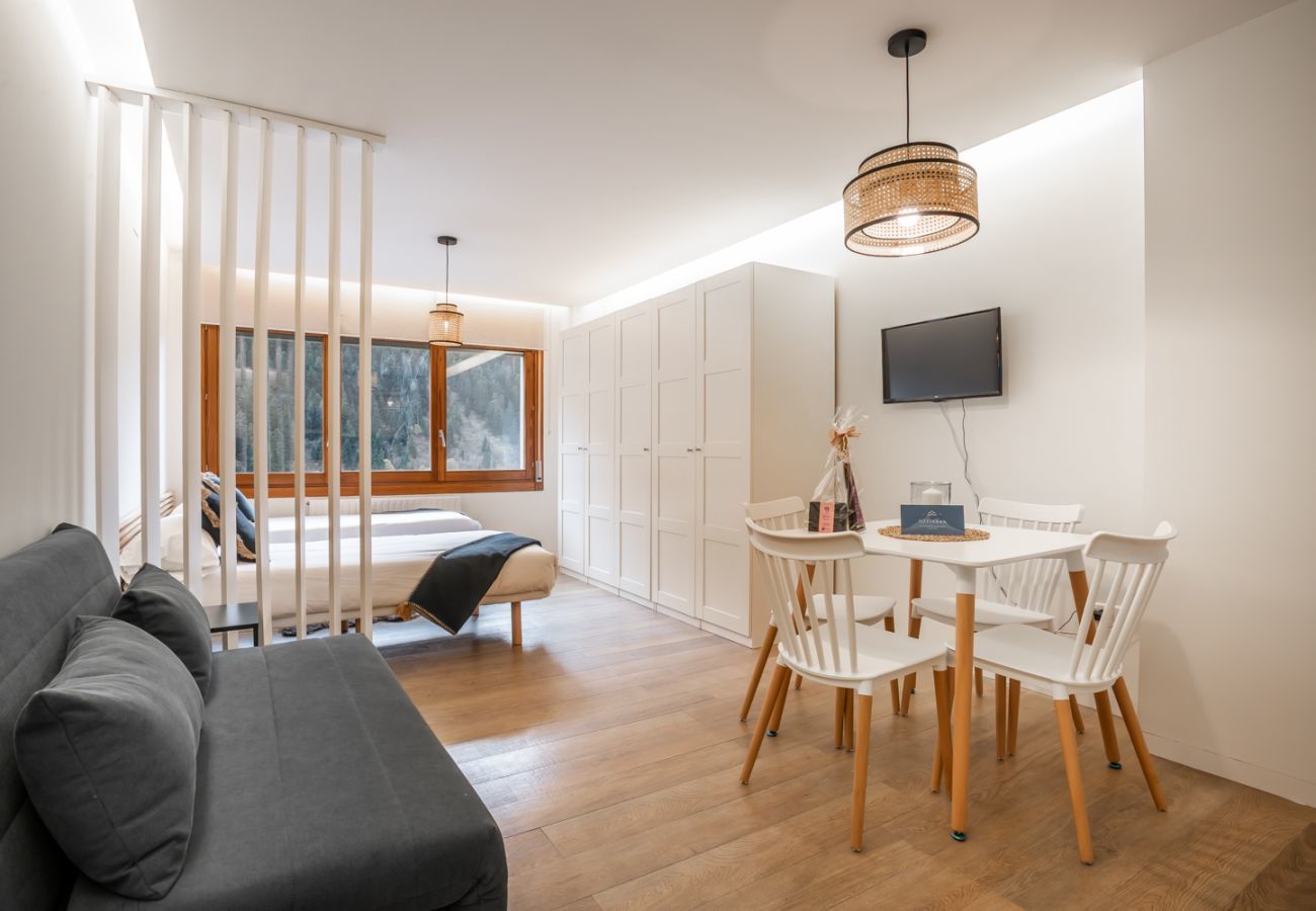 Estudio acogedor en Baqueira 1500, cerca del telecabina, ideal para 2 adultos y 2 niños o 3 adultos.