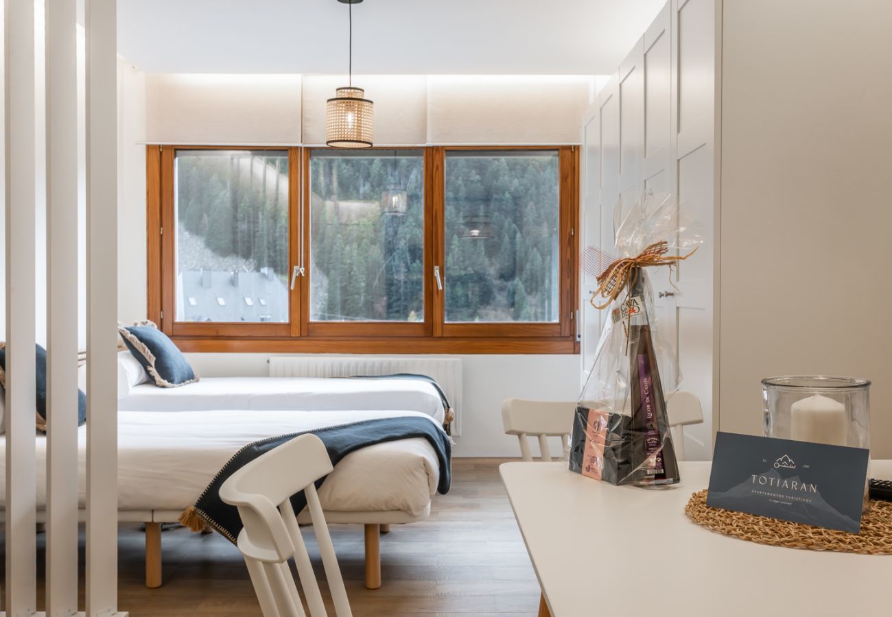 Apartamento en Baqueira - Salana by Totiaran