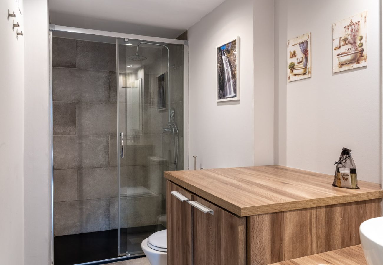 Apartamento en Baqueira - Escornacrabes by totiaran