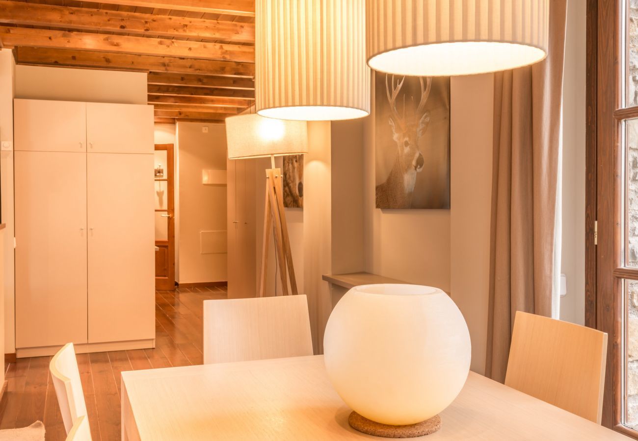 Apartment in Baqueira - Costarjas by Totiaran