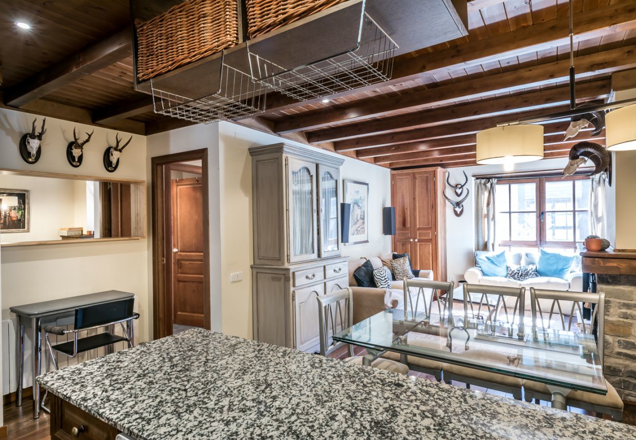 Apartment in Baqueira - Sendrosa by Totiaran