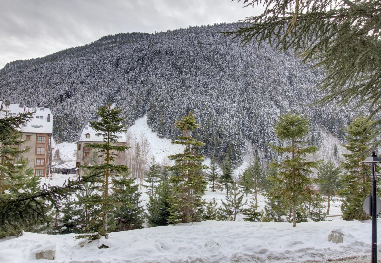 Eth Pradeth by Totiaran views Baqueira, at the foot of the slopes