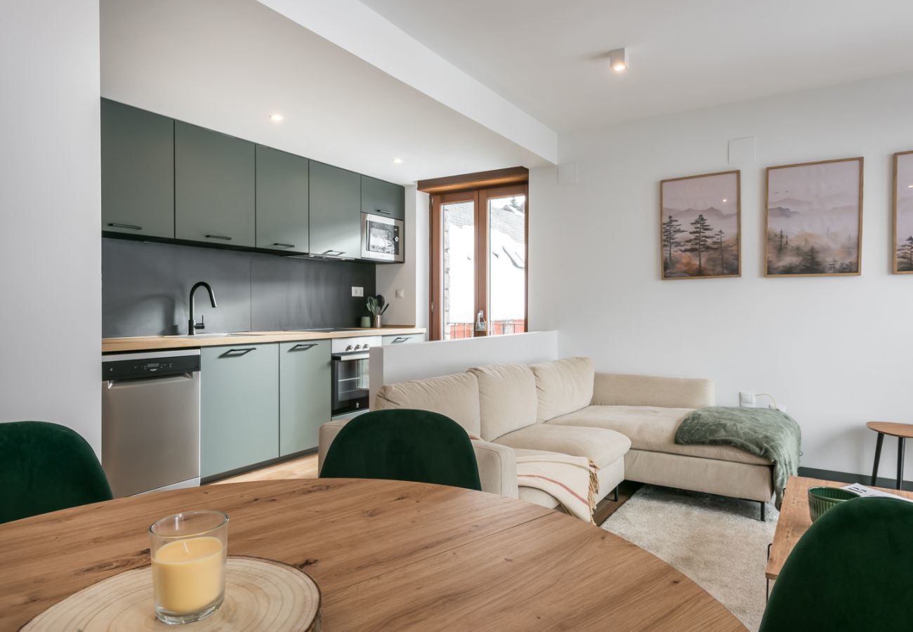 Apartment in Naut Aran - Aiguamoix by Totiaran