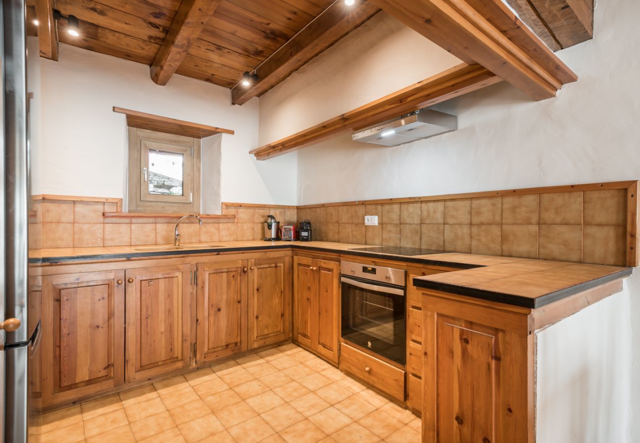 House in Baqueira - Riu Nere - Pleta de Jus by Totiaran