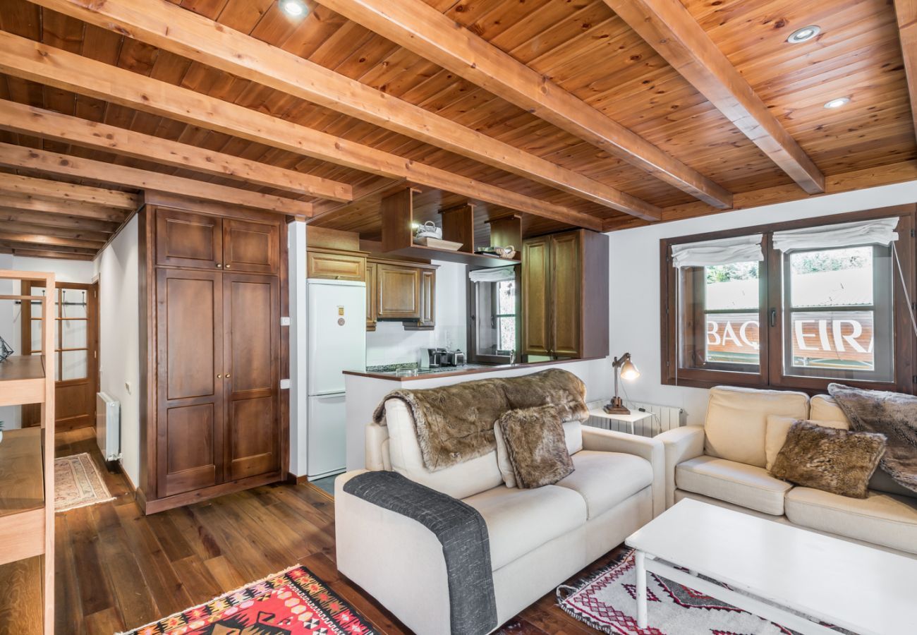 Appartement à Baqueira - Baciver by Totiaran